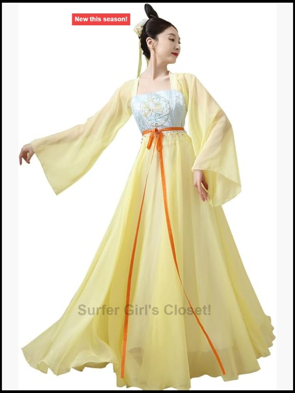 Chinese Hanfu Tang Dynasty Dance Costume Chiffon Embroidery Top Skirt